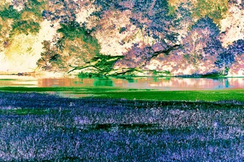 L 040C